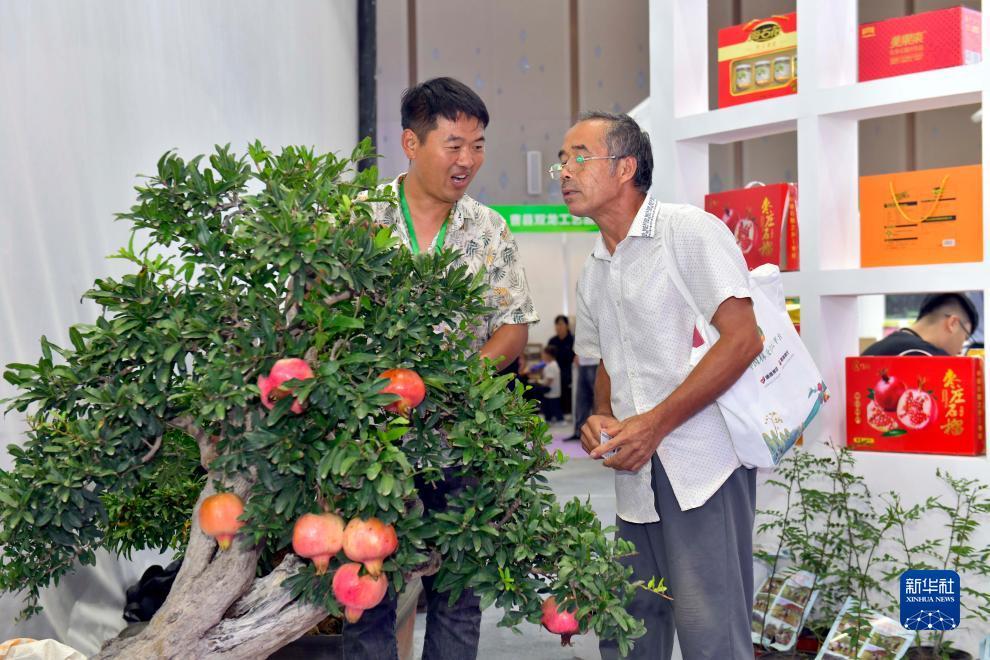 威尼斯电子网址